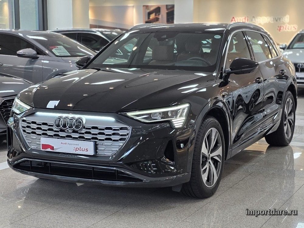 Audi Q8 e-tron 2024