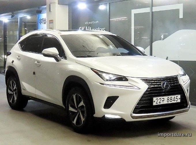 LEXUS NX300H 2019 — 79 106 км, Корея — под ключ — фото 1