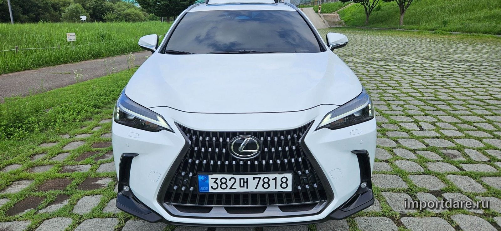 Lexus NX350h 2026