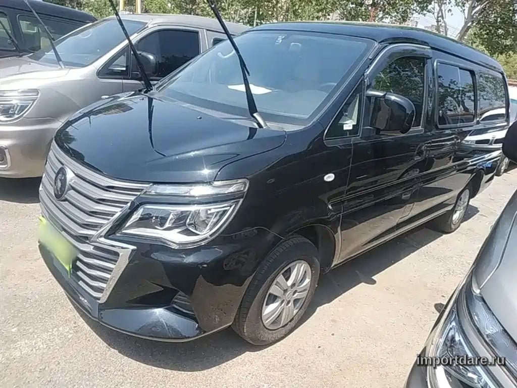 Dongfeng Lingzhi 2025