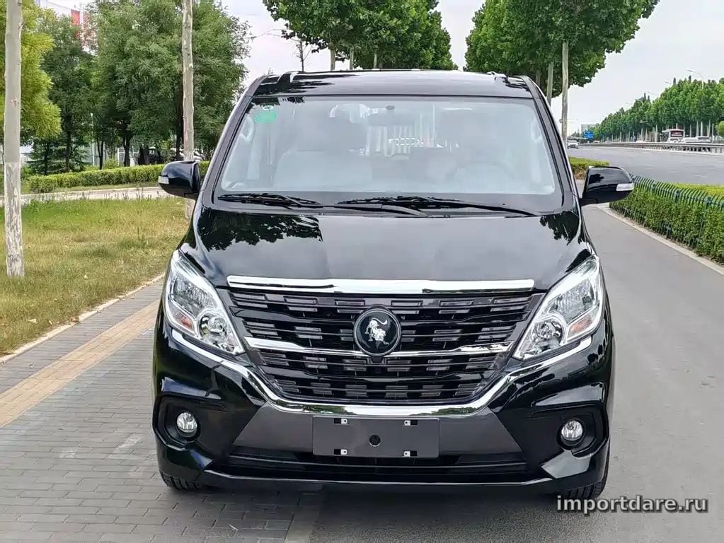 Dongfeng Lingzhi сбоку