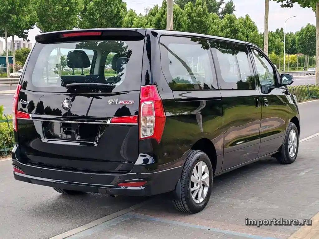 Dongfeng Lingzhi сзади