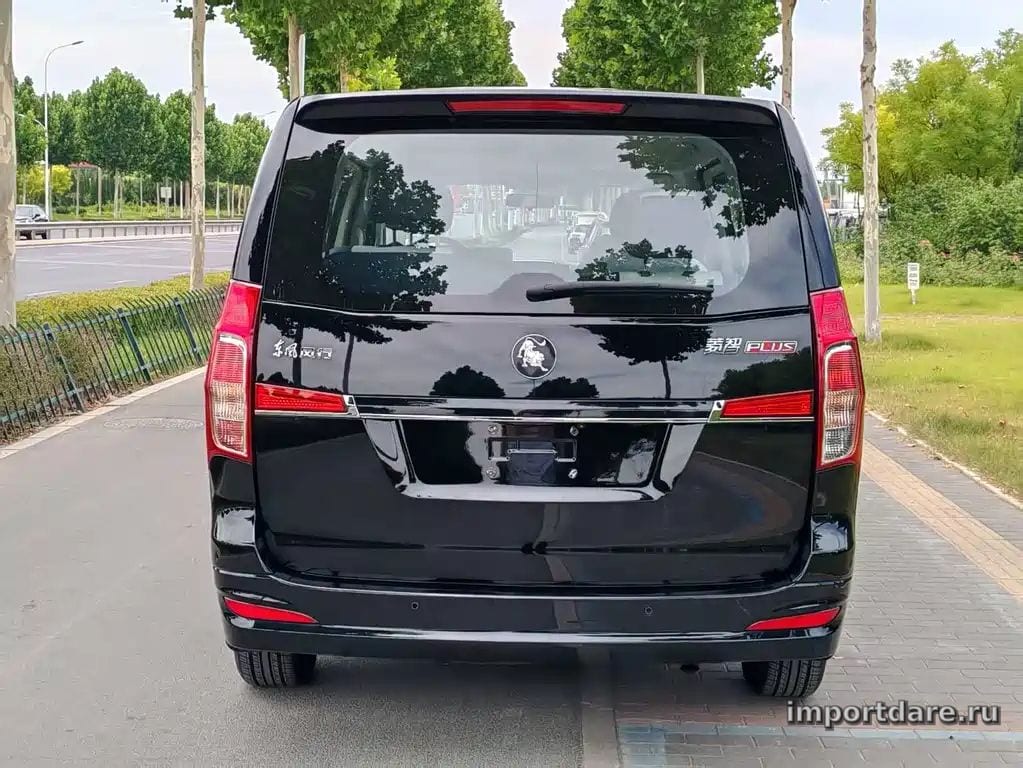 Dongfeng Lingzhi детали