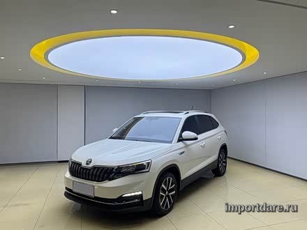 Skoda Kamiq 2022
