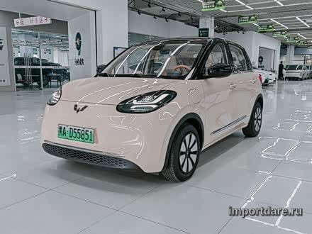 Wuling Bingo 2025