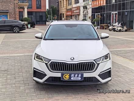 Skoda Octavia 2022