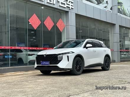 Venucia Big V 2021