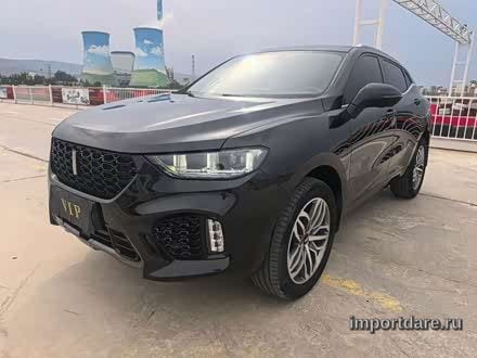 Wey VV5 2019