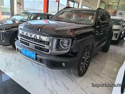 Haval Dargo сзади