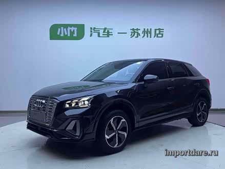 Audi Q2L e-tron 2022