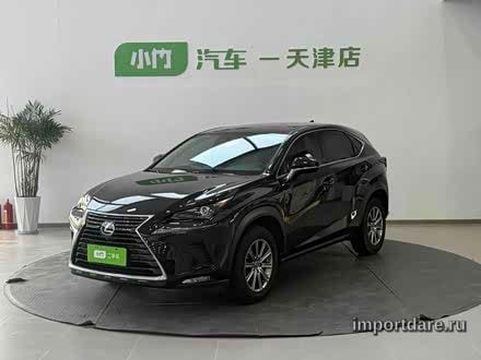 LEXUS NX 2020 — 73 000 км, Китай — под ключ — фото 1