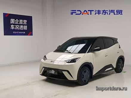 BYD Seagull 2025