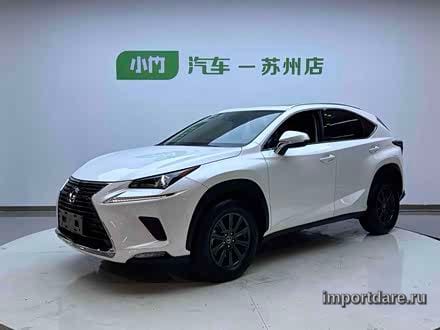 LEXUS NX 2020 — 76 000 км, Китай — под ключ — фото 1