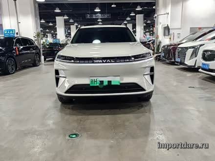 Haval Max сзади
