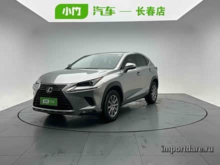 LEXUS NX 2020 — 21 000 км, Китай — под ключ — фото 1