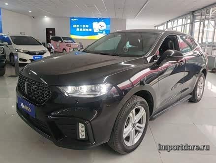 Wey VV5 2020