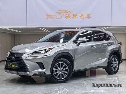 LEXUS NX 2020 — 88 200 км, Китай — под ключ — фото 1