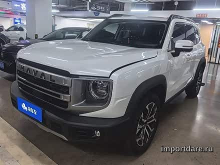 Haval Dargo детали
