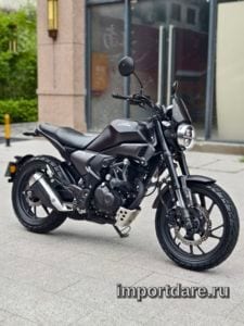 Sundiro-honda CBF190TR сзади