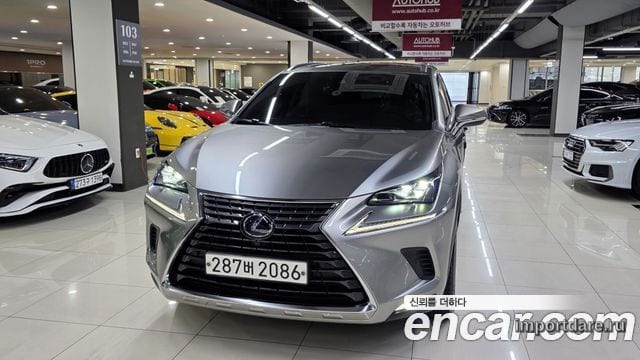 Lexus NX300 2021