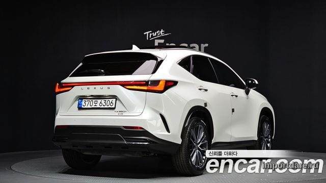 LEXUS NX350H 2025 — 25 493 км, белый, Корея — под ключ — фото 2