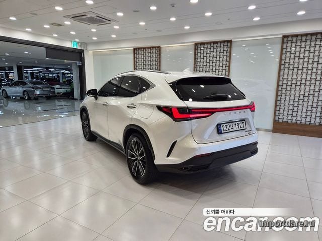 LEXUS NX350H 2024 — 55 273 км, белый-перламутр, Корея — под ключ — фото 2