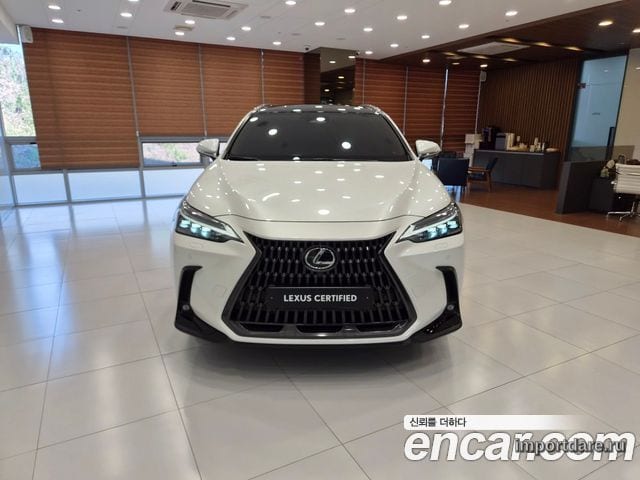 LEXUS NX350H 2024 — 55 273 км, белый-перламутр, Корея — под ключ — фото 3