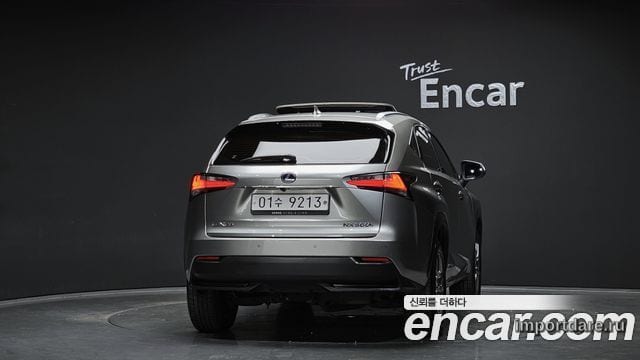 LEXUS NX300H 2017 — 80 925 км, серебристо-серый, Корея — под ключ — фото 4