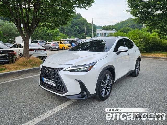 LEXUS NX350H 2024 — 18 462 км, белый, Корея — под ключ — фото 1