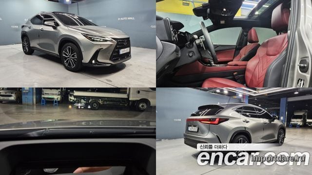 LEXUS NX350H 2025 — 7 000 км, светло-золотистый, Корея — под ключ — фото 1