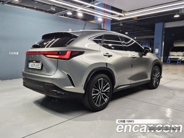 LEXUS NX350H 2025 — 7 000 км, светло-золотистый, Корея — под ключ — фото 3