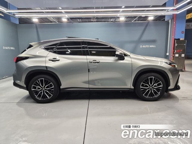 LEXUS NX350H 2025 — 7 000 км, светло-золотистый, Корея — под ключ — фото 6