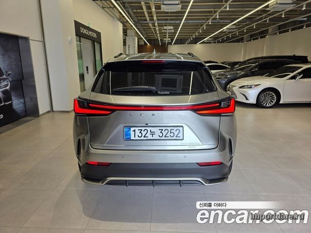 Lexus NX450H+ сзади