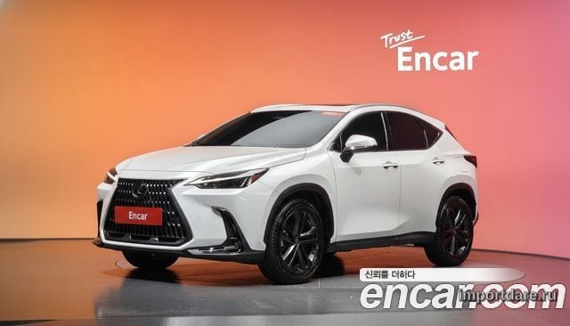 LEXUS NX350H 2025 — 10 624 км, белый, Корея — под ключ — фото 2