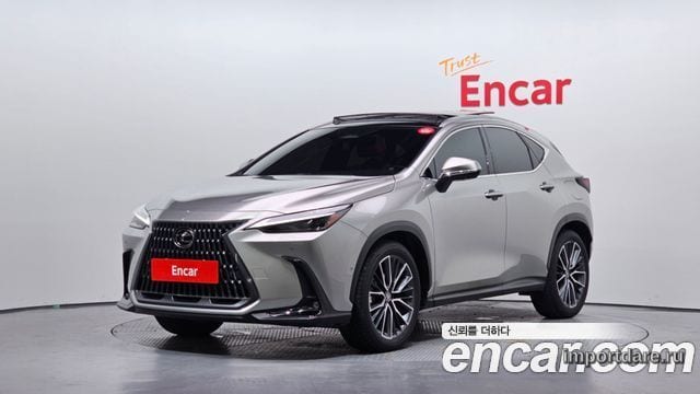 LEXUS NX350H 2025 — 17 685 км, серебристо-серый, Корея — под ключ — фото 1