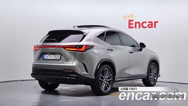 LEXUS NX350H 2025 — 17 685 км, серебристо-серый, Корея — под ключ — фото 2