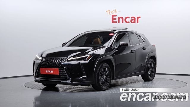 Lexus UX250h 2024