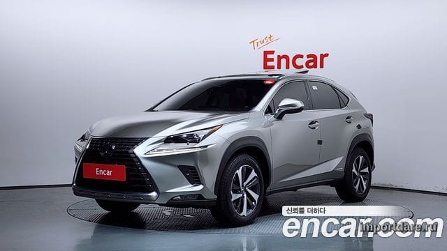 LEXUS NX300H 2019 — 26 054 км, серый, Корея — под ключ — фото 1