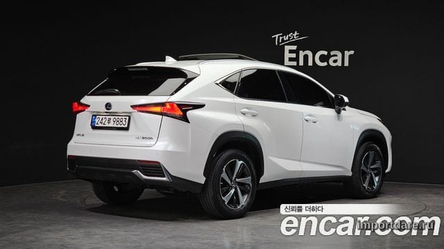 LEXUS NX300H 2019 — 74 860 км, белый, Корея — под ключ — фото 2