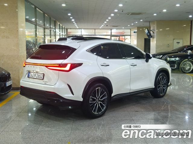 LEXUS NX350H 2024 — 42 601 км, белый, Корея — под ключ — фото 4