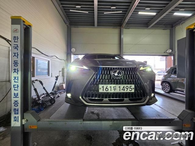 LEXUS NX350H 2022 — 63 013 км, светло-золотистый, Корея — под ключ — фото 6