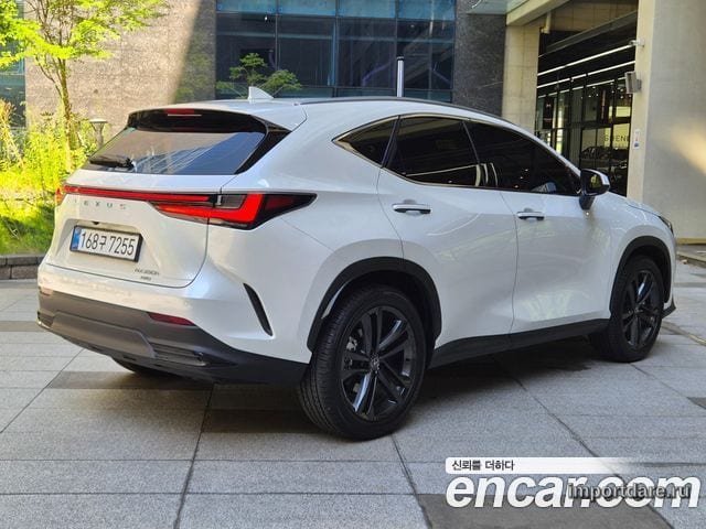 LEXUS NX350H 2025 — 16 600 км, белый, Корея — под ключ — фото 2