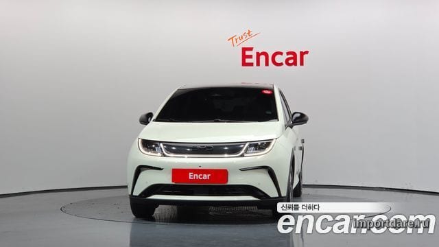 BYD DOLPHIN 2026 — 235 км, белый-перламутр, Корея — под ключ — фото 3
