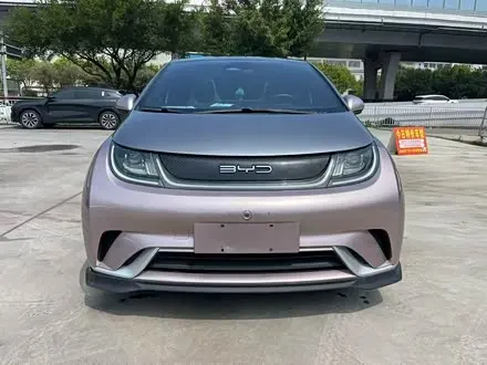 BYD DOLPHIN — из Китая под ключ