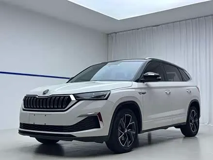 SKODA KAMIQ — из Китая под ключ