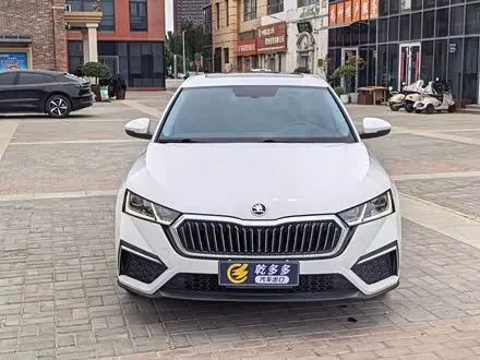 SKODA OCTAVIA — из Китая под ключ