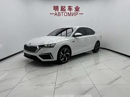 SKODA OCTAVIA — из Китая под ключ