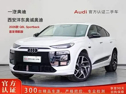 AUDI Q6L SPORTBACK E-TRON — из Китая под ключ