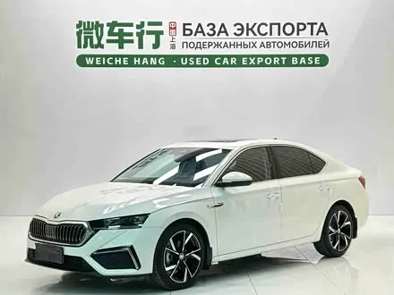 SKODA OCTAVIA — из Китая под ключ