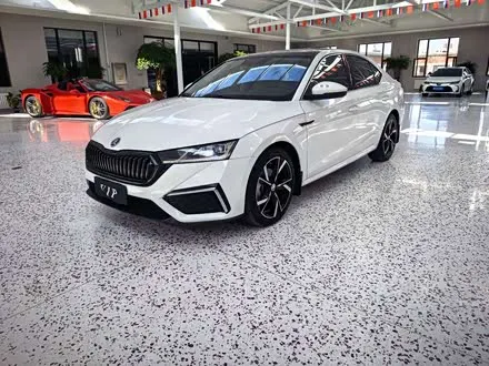 SKODA OCTAVIA — из Китая под ключ